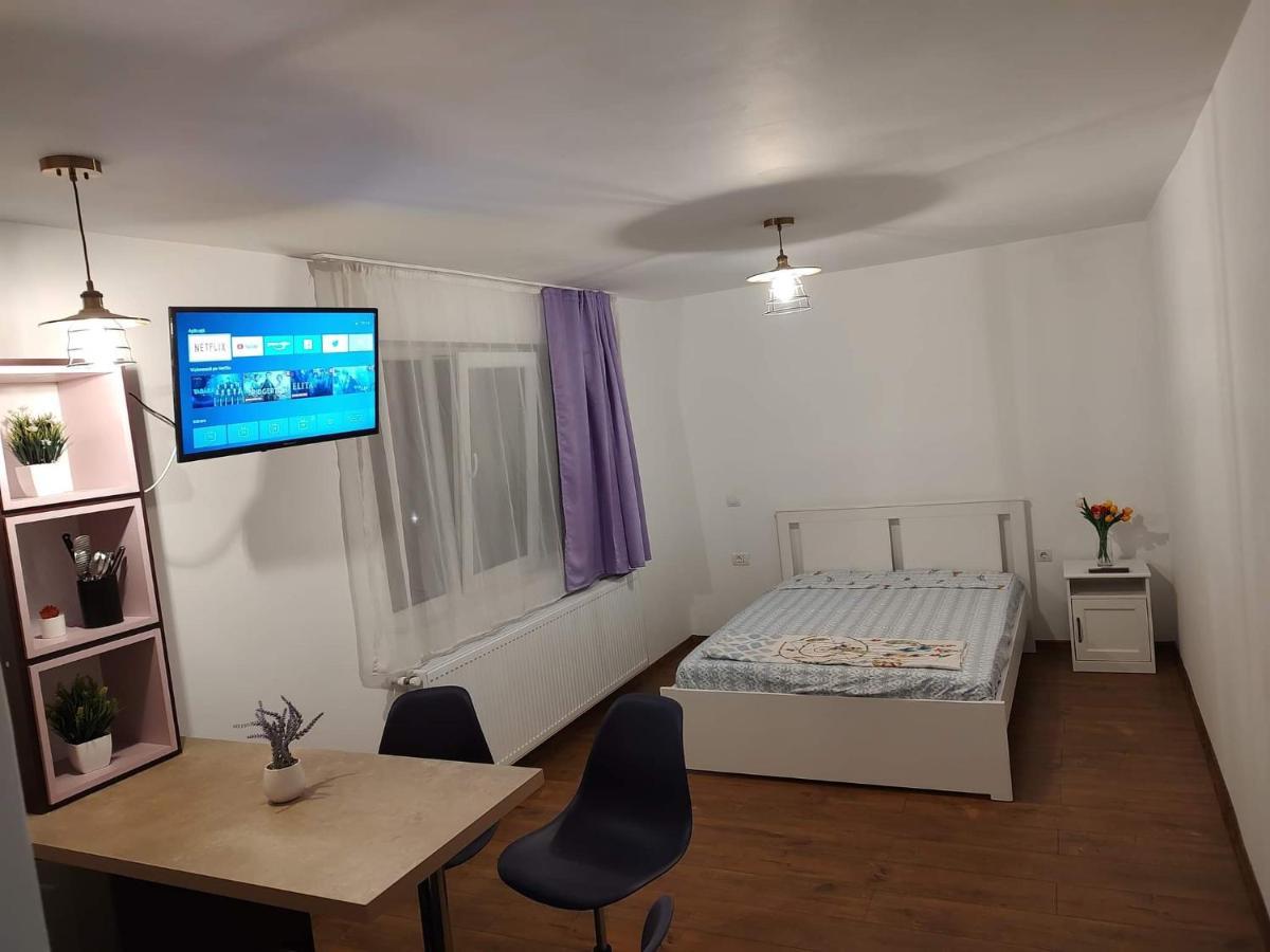 Appartement Garsoniera Dania&Petru 1 à Tîrgu Ocna Extérieur photo