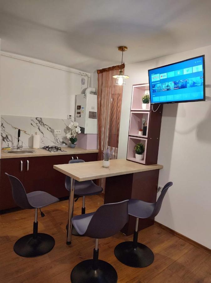 Appartement Garsoniera Dania&Petru 1 à Tîrgu Ocna Extérieur photo
